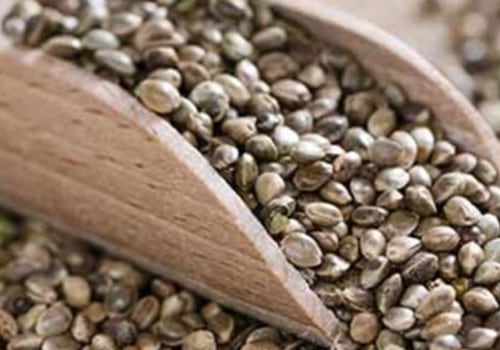 The Benefits and Side Effects of Hemp Seeds